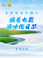 哪里能**